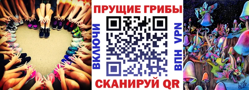 Псилоцибиновые грибы GOLDEN TEACHER  Нерчинск 